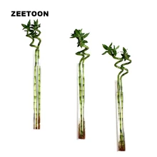 Современная многофункциональная акриловая настенная ваза длинная трубчатая гидропонная ваза офисная гостиная цветочный горшок креативный домашний декор