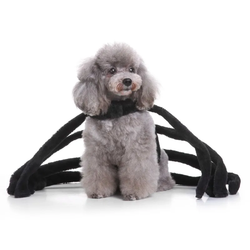 Хэллоуин Косплей Черный Паук комплект костюм ужас 3D Pet Одежда для маленьких собак зимой для чихуахуа Pet аксессуары