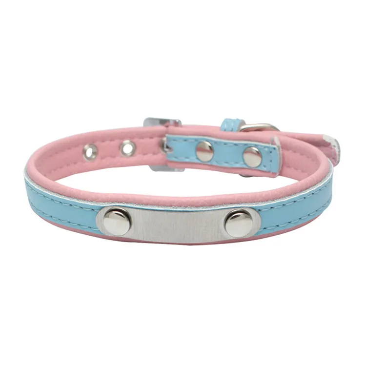 dogs collar (10)