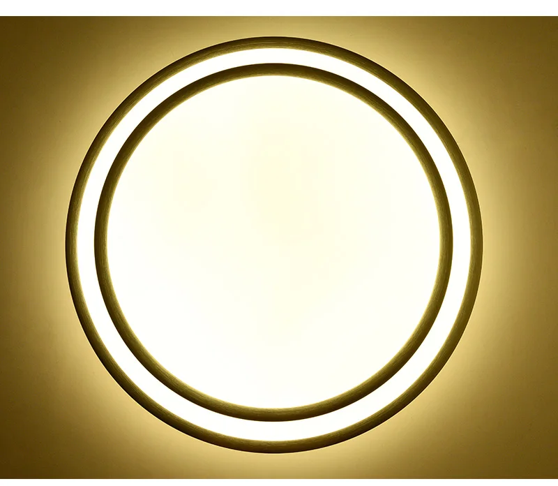 led ceiling lights (5)