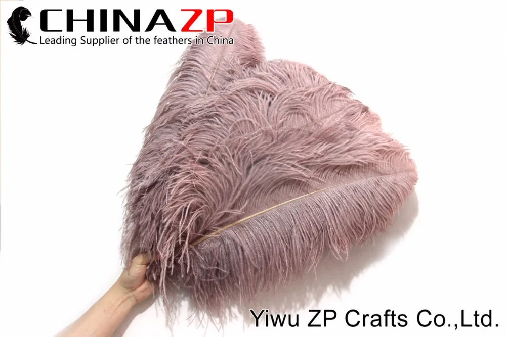 1 PRIME GRADE Large Wing Plumes Wholesale Feathers (bulk) (3)