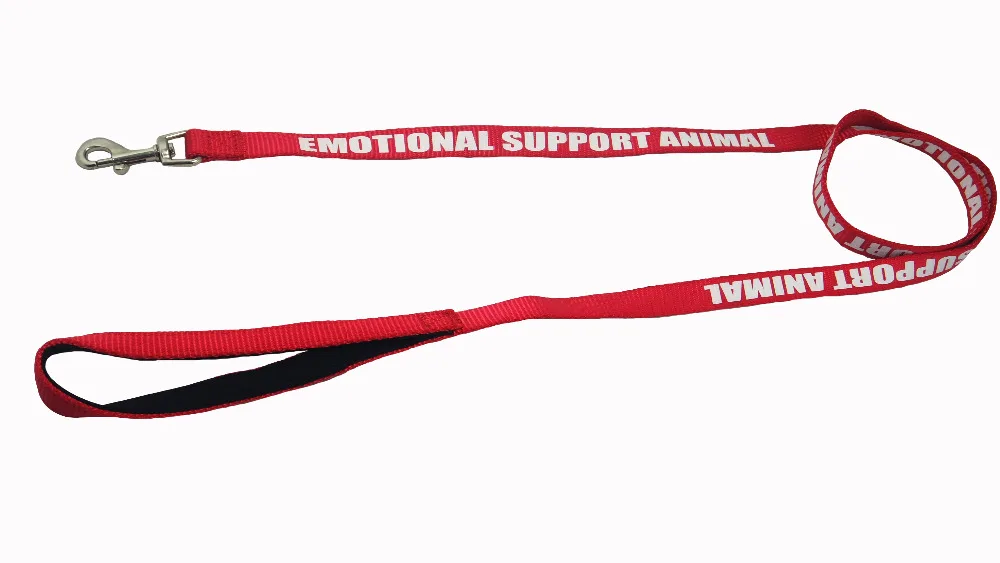 4ft dog leash