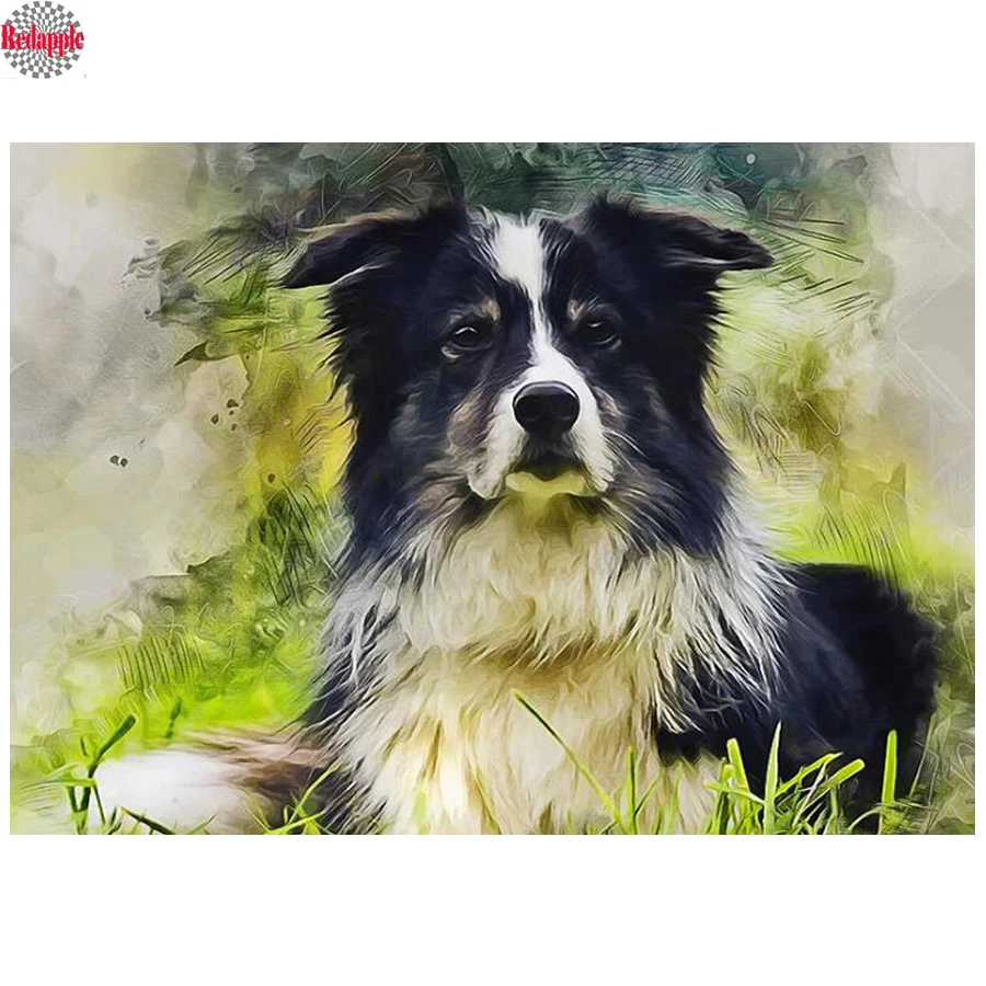 3D Diy Diamond Painting Border Collie Cross Stitch rhinestone 5d Diamond Embroidery cute pet full Square round Drill Home Decor