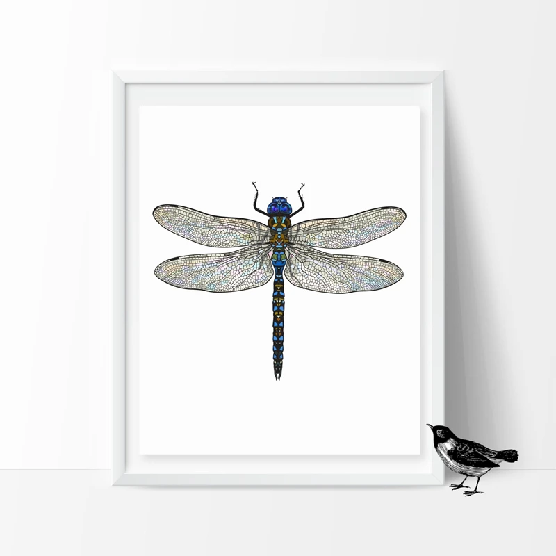 Buy Dragonfly Canvas And Get Free Shipping On AliExpress Buy Dragonfly Canvas And Get Free Shipping On AliExpress