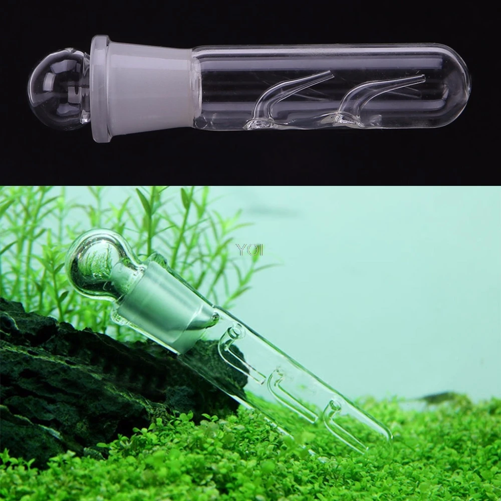 

Transparent Glass Snail Leech Vivarium Pest Catch Trap Shrimp Worm Planaria Leech Catcher 2 Holes Fish Tank Cleaning Tools