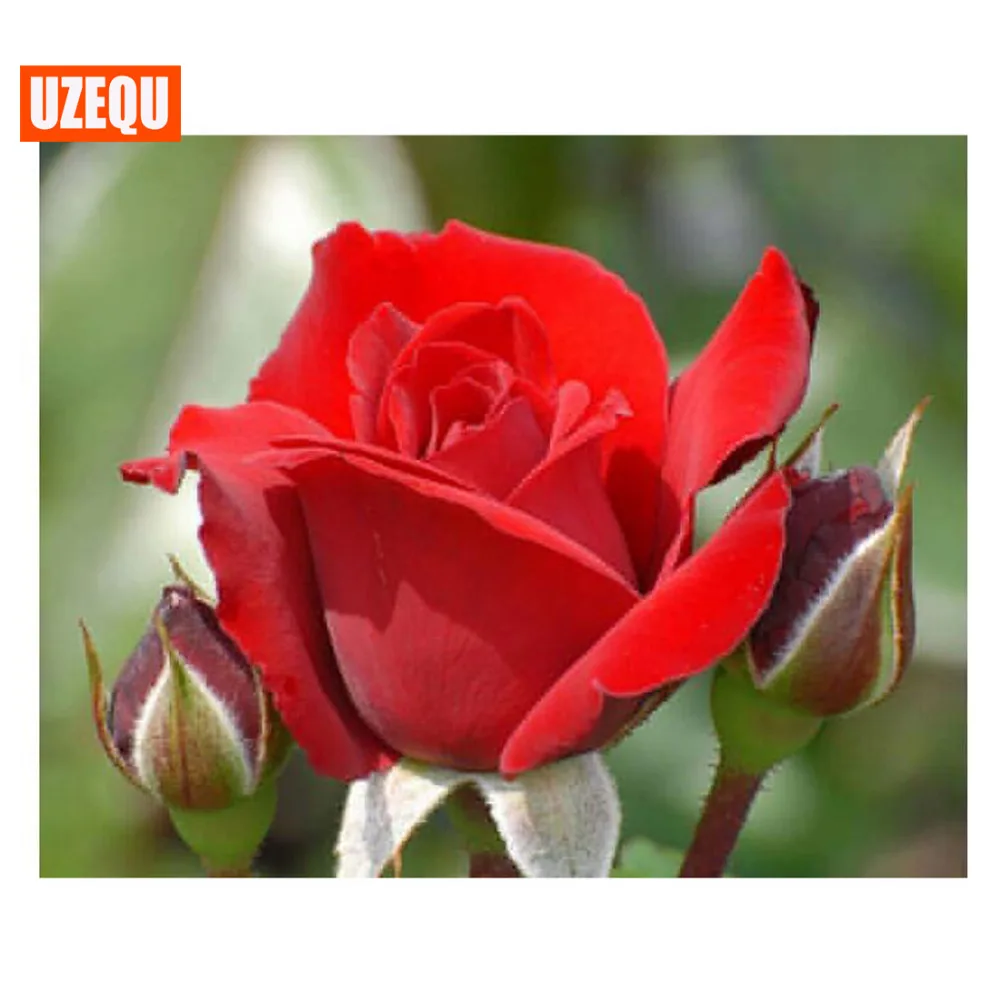 Uzequ полностью Алмазная вышивка цветок Роза 5D DIY Алмазная картина вышивка крестиком 3D Мозаика Холст Картина Алмазная вышивка
