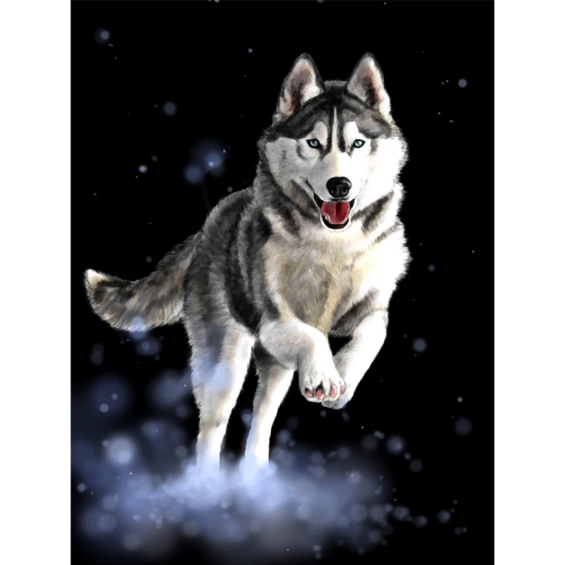 NEW Arrival 5D Dog Husky picture DIY Diamond Mosaic Painting Cross Stitch Home Decoration Embroidery gifts hand pasted | Дом и сад