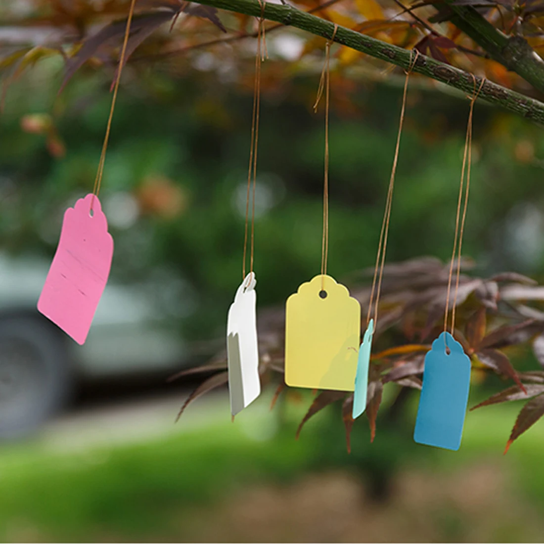 

100Pcs Plants Labels Hang Tag Garden Tools Seedling Nursery Pots Planters Flower Thick Plant Tag Label Marker 3.5*2.5cm