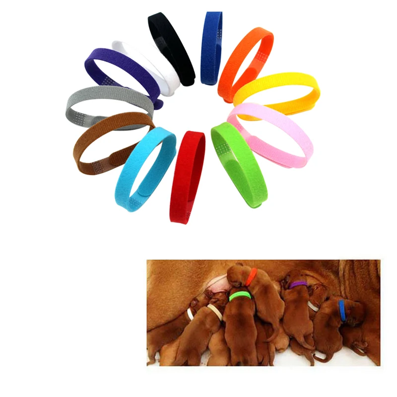 

12 Pcs/Set Small Pet Dog Collars Adjustable Nylon Puppy Newborn Pets Identify Collars Kitten Necklace Whelping Puppy Collars