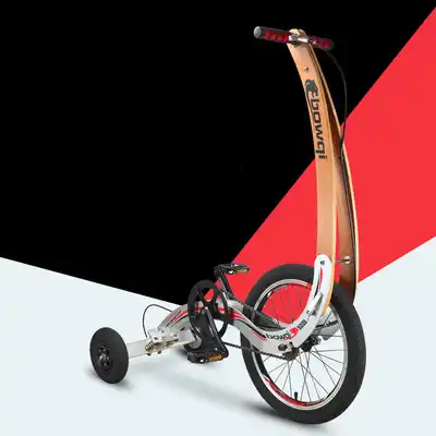 stand up bike without seat
