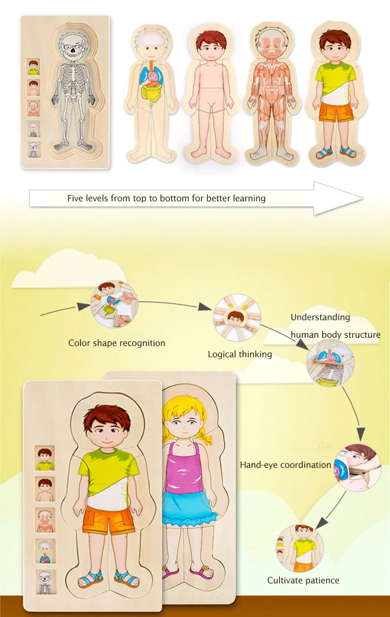 Quebra-cabeça de Madeira Estrutura do Corpo Montessori Brinquedos Crianças Cedo Educacional Aprendizagem Corpo Humano Puzzles Meninos Meninas 9 Brinquedos e hobbies