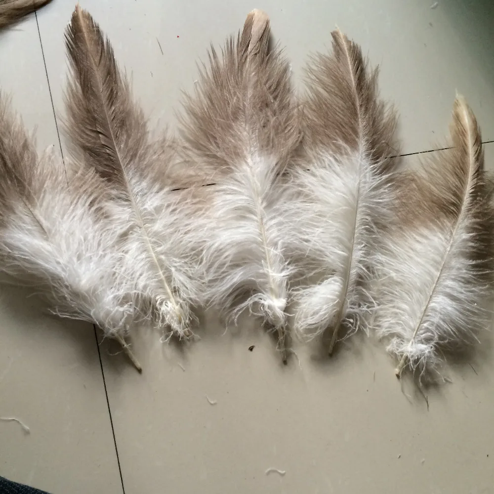 Wholesale perfect 10pcs high quality scare natural Golden eagle velvet