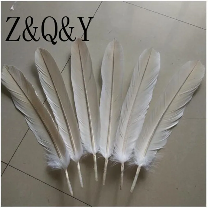 Z & Q Y Природный 10 отбеливать 40 45 см и 50 Eagle Wings перья DIY производство вентилятор