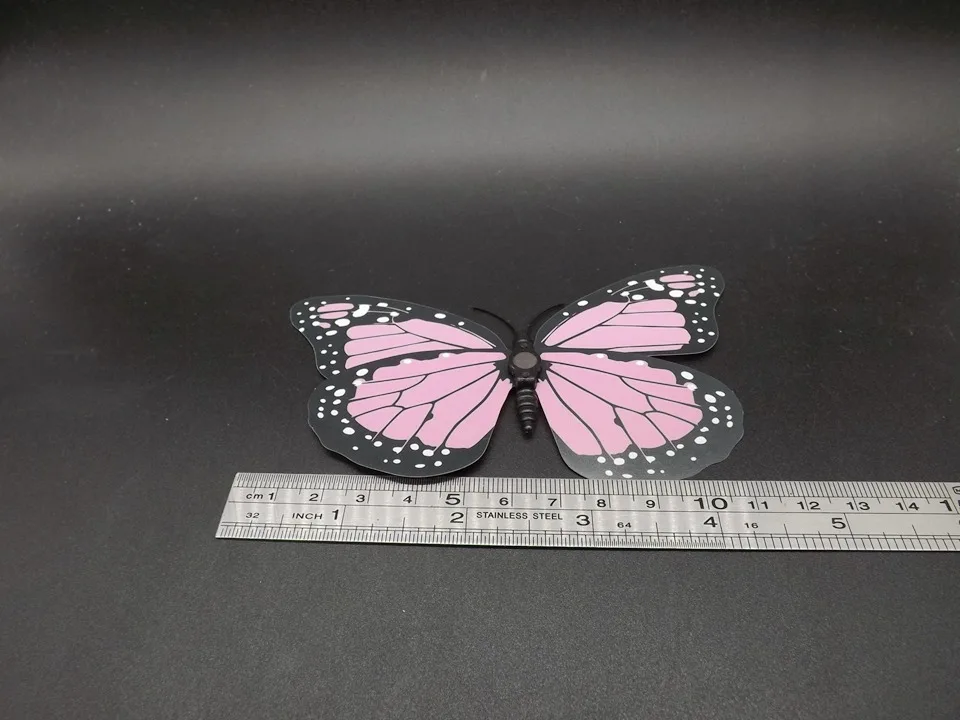 I242-Butterfly (12)