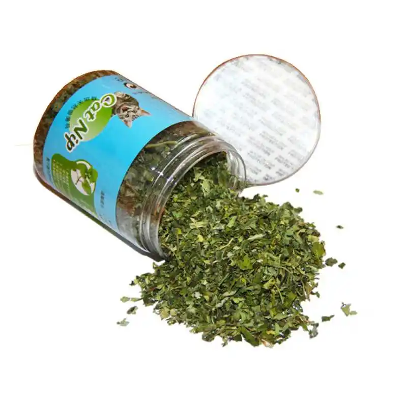 Премиум Catnip 10g, 20g, 30g, ментоловый аромат мята для кошки забавная игрушка для Кот котенок питомец - Цвет: 20g