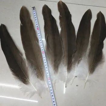 

wholesale 10 rare natural eagle feathers 30-35 cm/12-14 inches celebration decoration Jewelry accessories stage performance diy