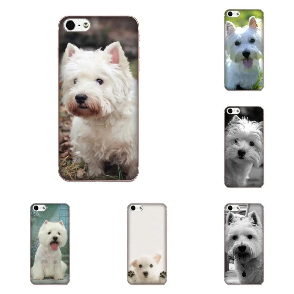 

West Highland White Terrier For Samsung Galaxy Note 5 8 9 S3 S4 S5 S6 S7 S8 S9 S10 mini Edge Plus Lite Soft Phone Coque