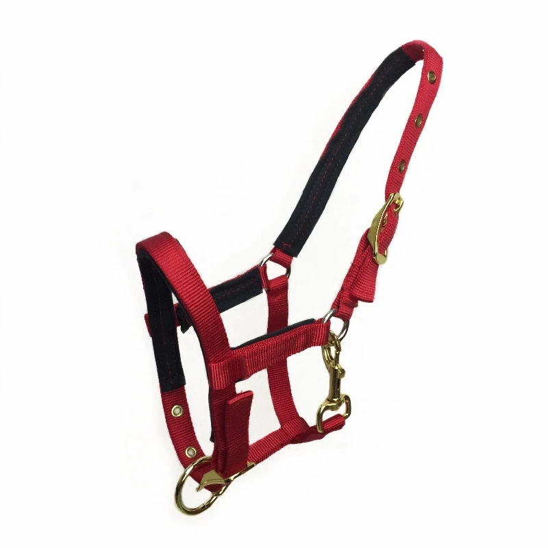 Soft Horse Riding Equipment Halter Belt Horse Bridle Halter