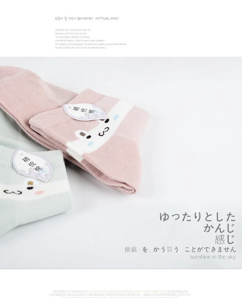 8832672811_1078105577