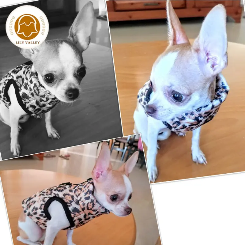 small dog clothes