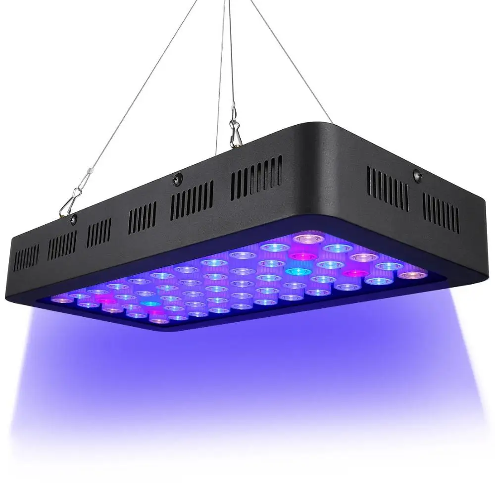 55x3W Dim Aqu