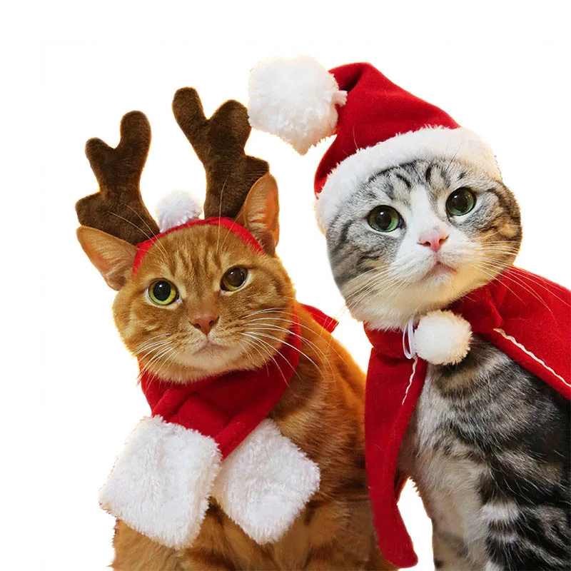 Собачий кошачий шарф, кепка, накидка, повязка на голову, набор подарков, Рождественская вечеринка, зимняя одежда, LBShipping