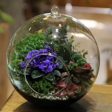 6 шт./лот, Современная прозрачная Хрустальная ваза с плоским дном, цветочные шары, террариумные вазы для свадебного украшения диаметром 8 см