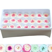 21 шт., 2-3 см, консервированный цветок, Роза Остина, бутон, голова для свадьбы, праздника, дня рождения, подарок на день рождения