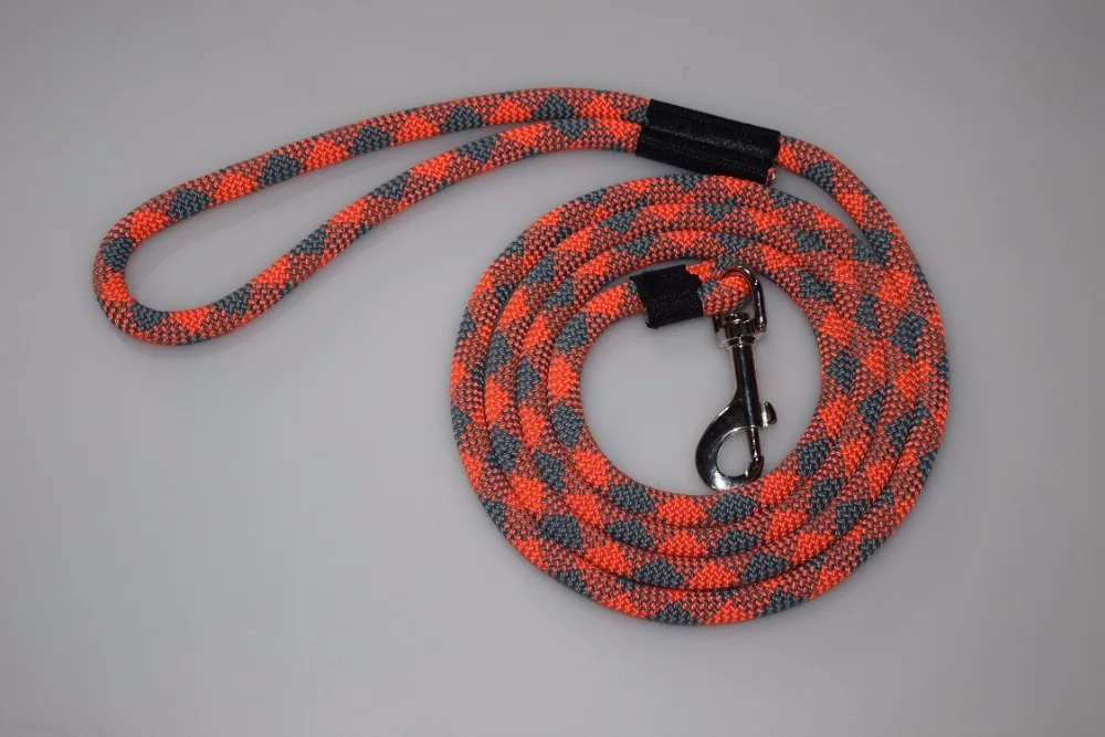 chain dog leash 6ft