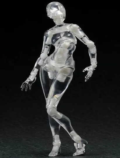 Anime Figma Archetype Body chan Body kun ferrite action ...