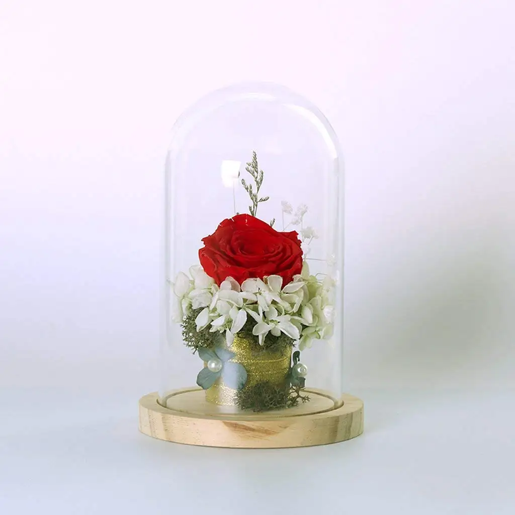 LBER прозрачный стеклянный колокольчик, стеклянные банки на присоске с деревянным полом для цветов, растений, подарок на рождение, дисплей, купол, деревянная основа