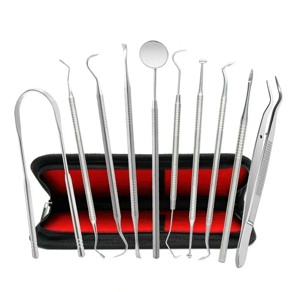 

10Pcs/set Stainless Steel Oral Clean Kit Dental Examination Oral Care Tool Set