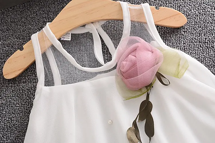 3191032668_113067139