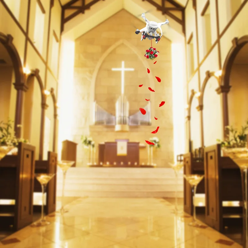 Servo Parabolic Switch Air parabolic device Remote control control For DJI phantom 3 Advanced Professional  drone Accessories 1 (17)