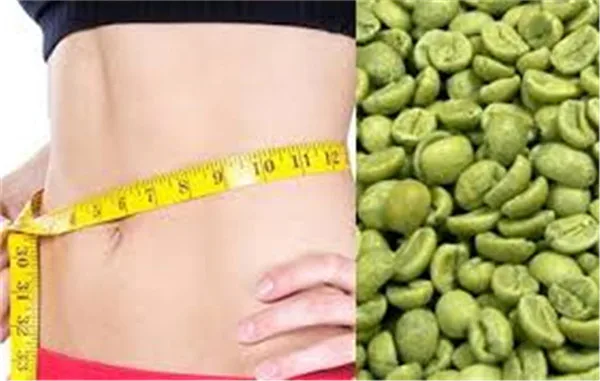 Чистый органический экстракт зеленых кофейных зерен двойной прочности-поддерживает управление весом-быстрая потеря веса