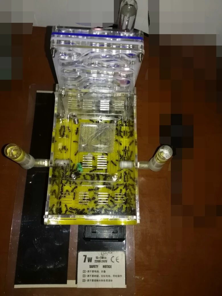 ant-nest-b1 (11)
