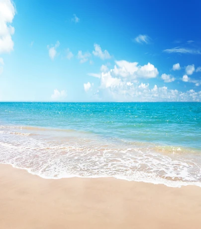 10x10ft Estate Blu Sabbia Di Mare Beach Onda Tides Nuvole Cielo Personalizzato Nozze Photography Sfondi Studio Fondali In Vinile 3x3 M Backdrop Vinyl Studio Backdropphotography Background Aliexpress