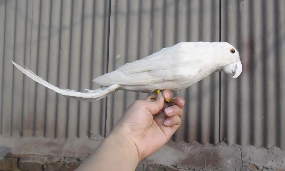Новый Моделирование белая птица пластиковые модели и меха попугай модель подарок около 40 см 1785