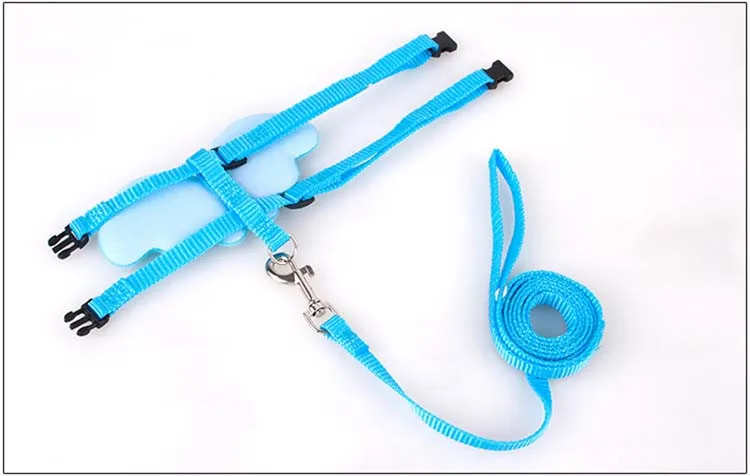 Cute Angel Pet Dog Leashes and Collars Set Puppy Leads for Small Dogs Cats Designer Wing Adjustable Dog Harness Pet Accessories Wholesale5