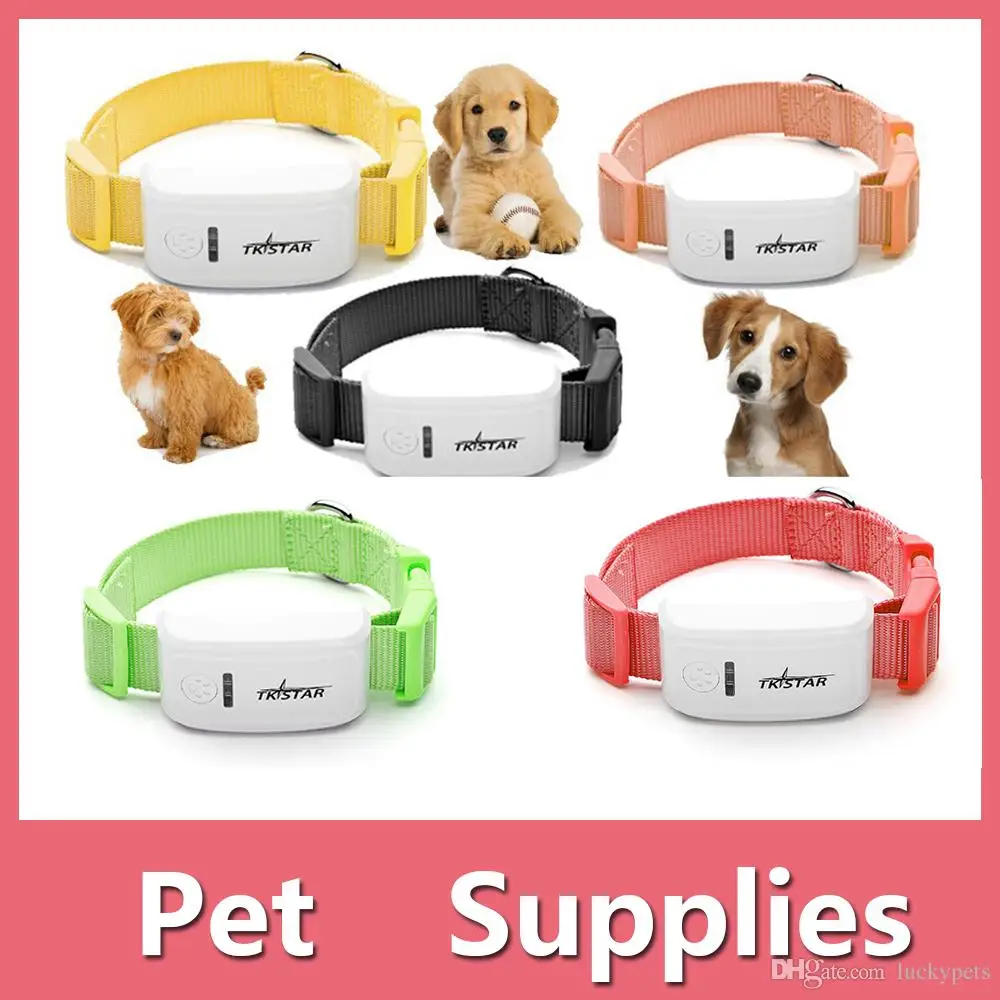 43 HQ Pictures Cat Scale Locator App Waterproof MiNi Pet GSM GPS