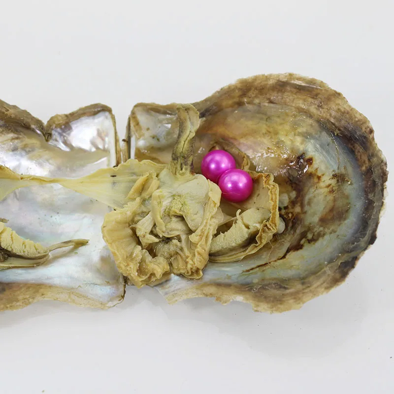 20pcs Vacuum packed Akoya Pearl Oysters 6 7mm Pink Round Twin Akoya
