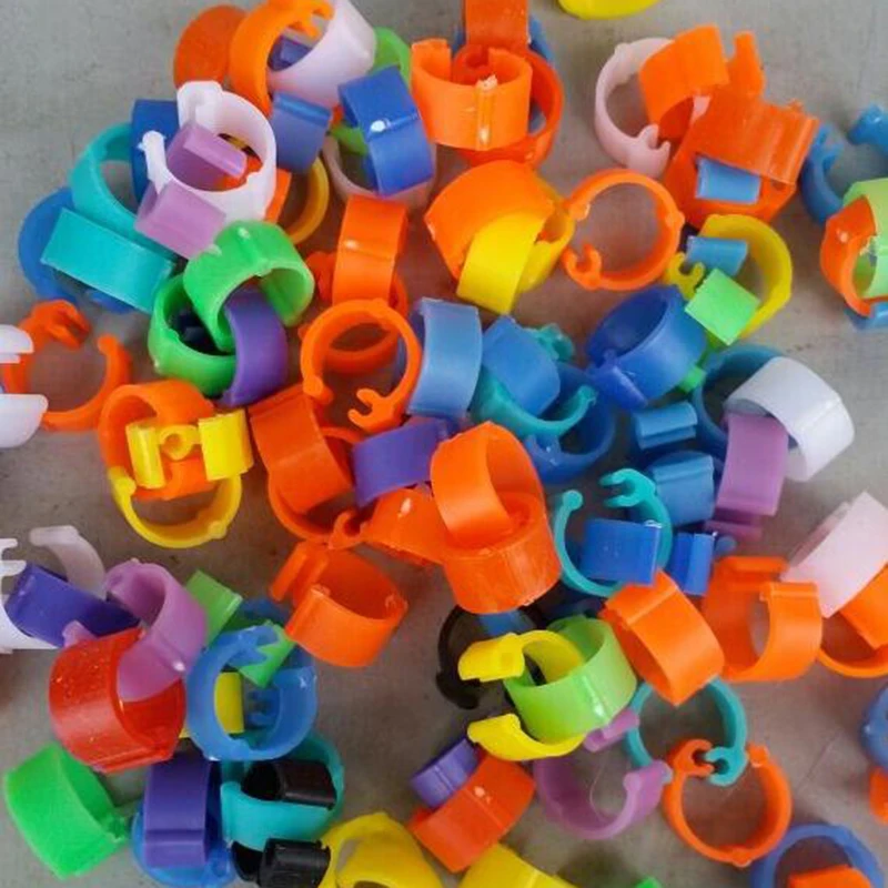 

100X 6mm MIXED-COLOUR LEG RINGS POULTRY CHICKEN PHEASANT DUCK Rings Band Tags