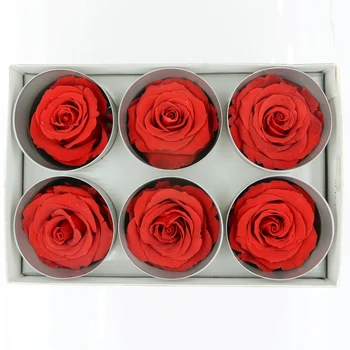 

Import Flowers Home Decoration Preserved-Flowers Double Color Artificial Rose Flower for Christmas Valentine's Day