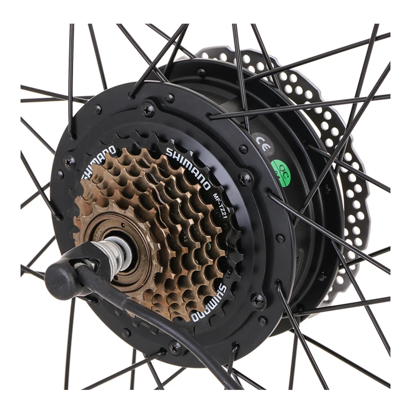 izip bike with 500w rear hub motor