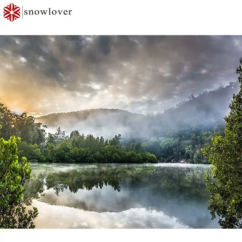 Snowlover 5D полный поделки алмаз Вышивка квадратный живописные живопись вышивка
