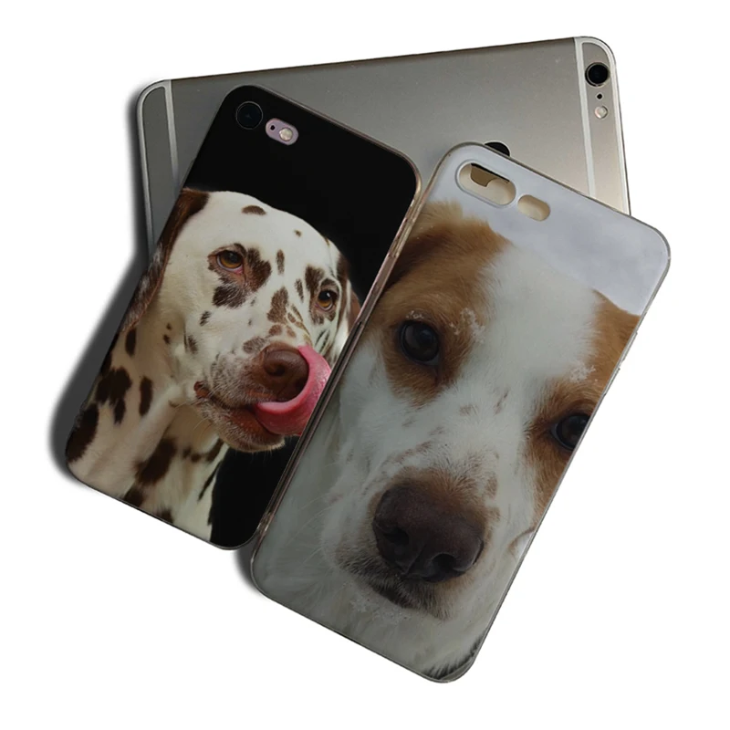 

IMIDO Dalmatian Puppy TPU Soft Back Cover For Iphone 6 6S 6PLUS 6SPLUS 7 8 7PLUS 8PLUS X XS XR XSMAX 5 5S SE