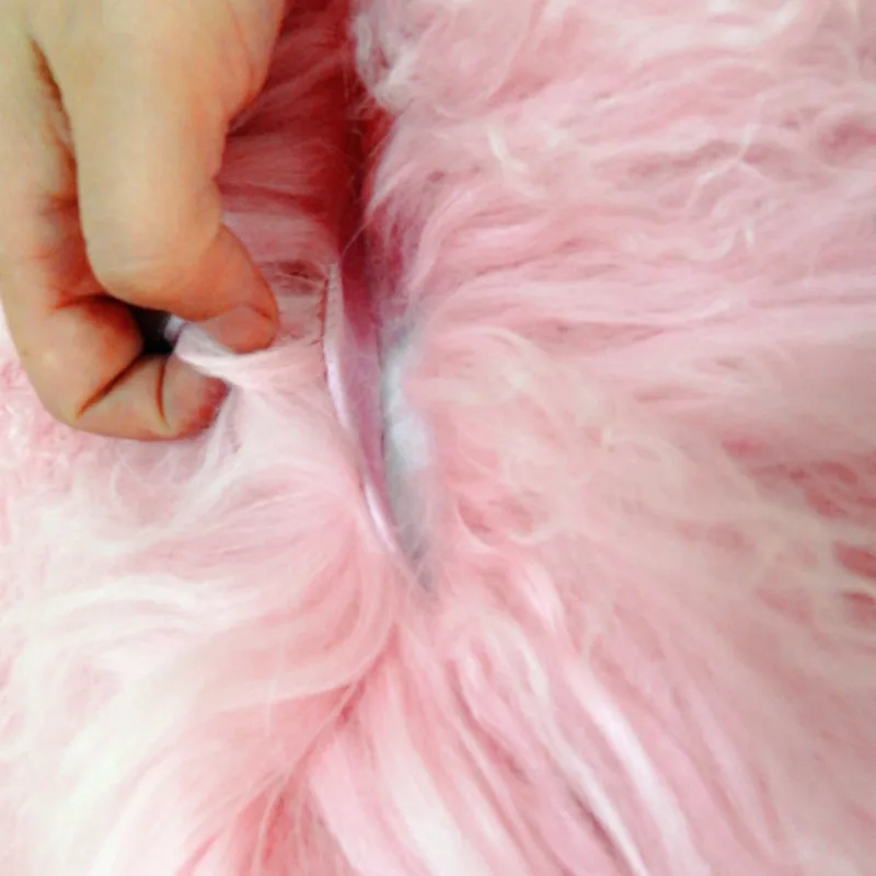 DSCN5512_