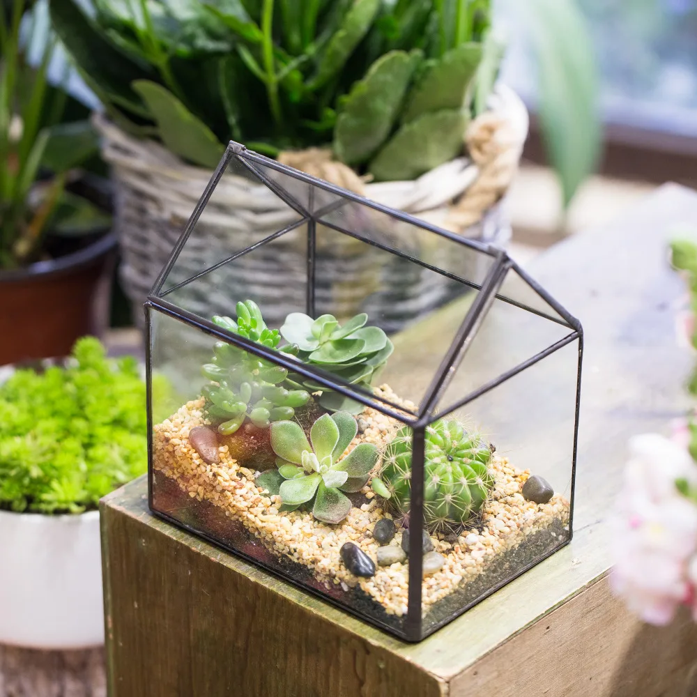 Стеклянный геометрический Террариум в форме дома, настольное суккулентное растение, папоротник, цветочный горшок, цветочный горшок бонсай