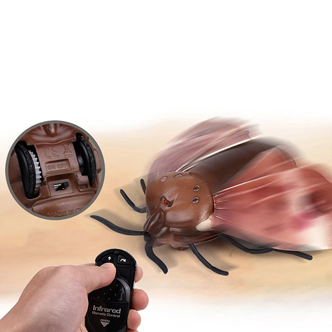 rc fly  (8)
