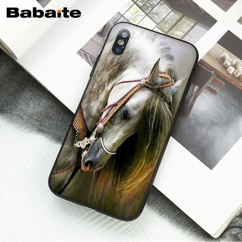 Horse Animal